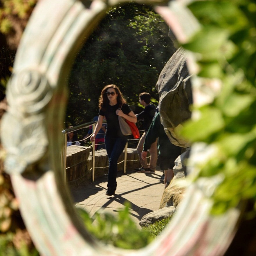 Duality – life through the&nbsp;mirror