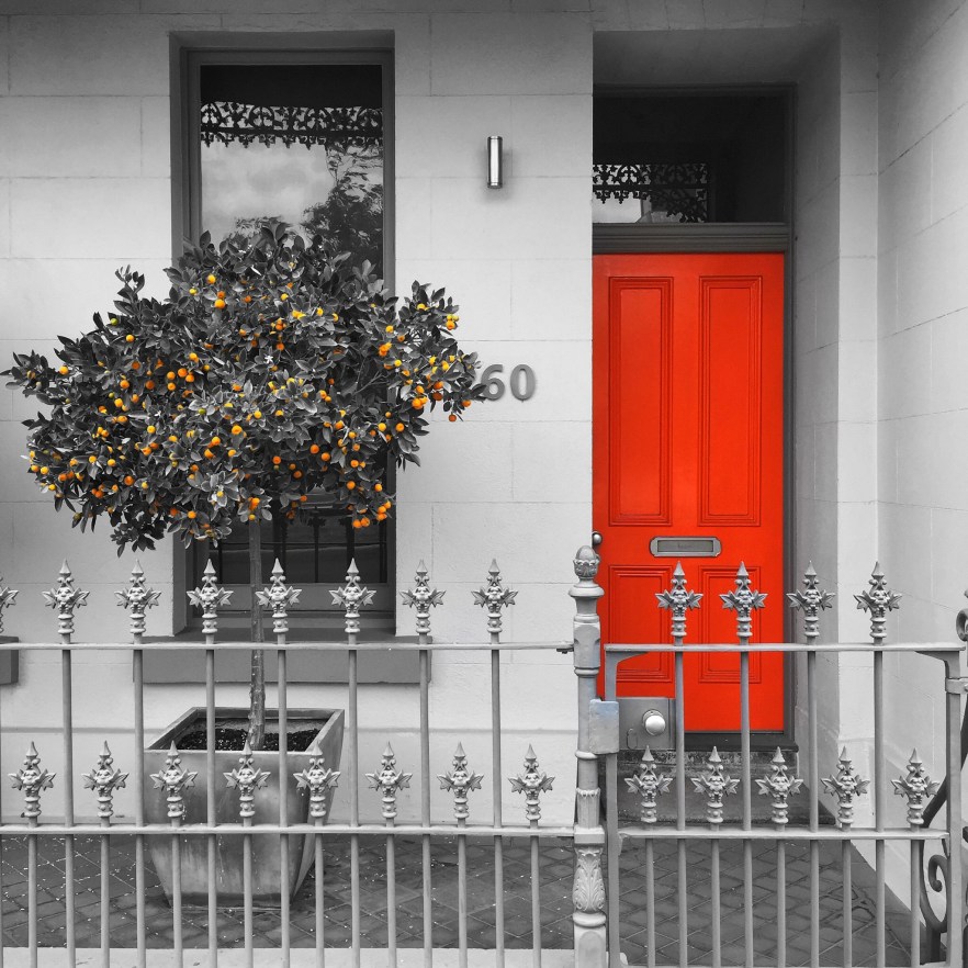 A splash of&nbsp;colour